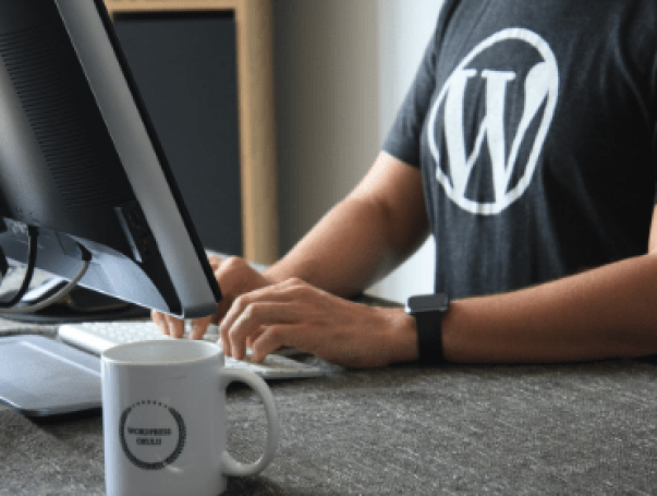 Website Development using Wordpress