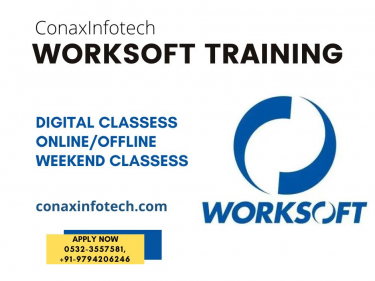 Worksoft Training in Allahabad