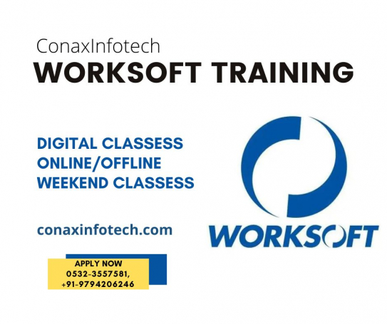 Worksoft Training in Allahabad