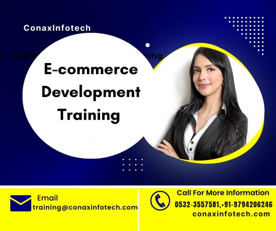 E-commerce  Development Training in Allahabad