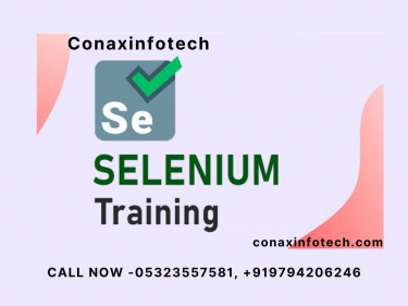 Selenium Training in Allahabad