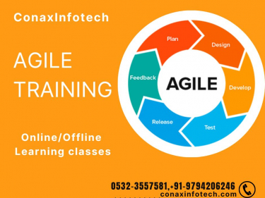 Agile Training in Allahabad