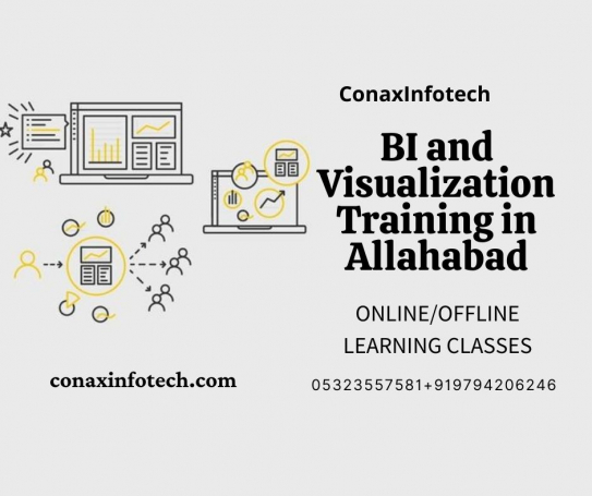 BI and Visualization Training in Allahabad