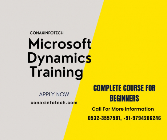 Microsoft Dynamics Training in Allahabad