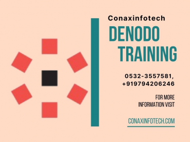 Denodo Training in Allahabad