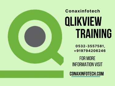 Qlikview Training in Allahabad