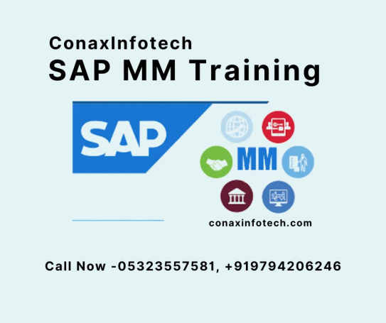 SAP MM Training in Allahabad
