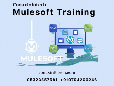 Mulesoft Training in Allahabad