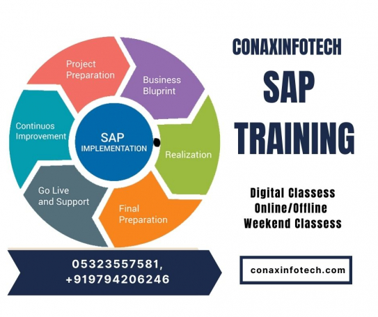 SAP Training in Allahabad