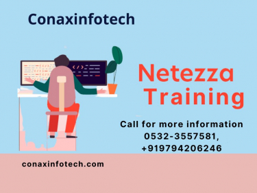 Netezza Training in Allahabad