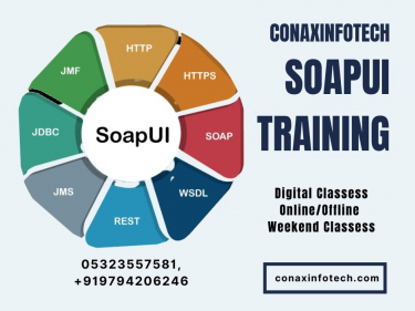 Soapui Training in Allahabad