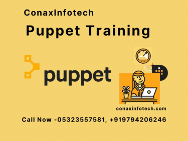 Puppet Training in Allahabad