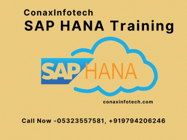 SAP HANA Training in Allahabad