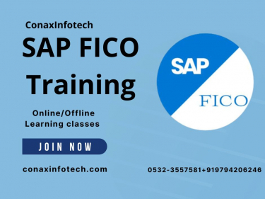 SAP FICO Training in Allahabad