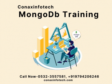 MongoDb Training in Allahabad